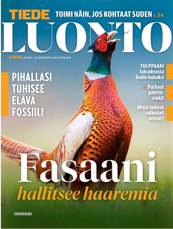 Kansikuva Tiede Luonto 2026