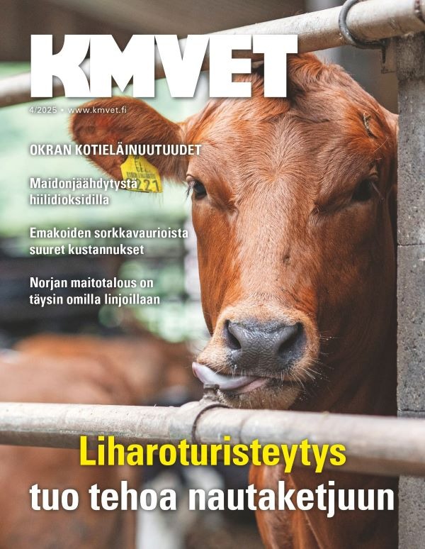 Kansikuva KMVET 2025