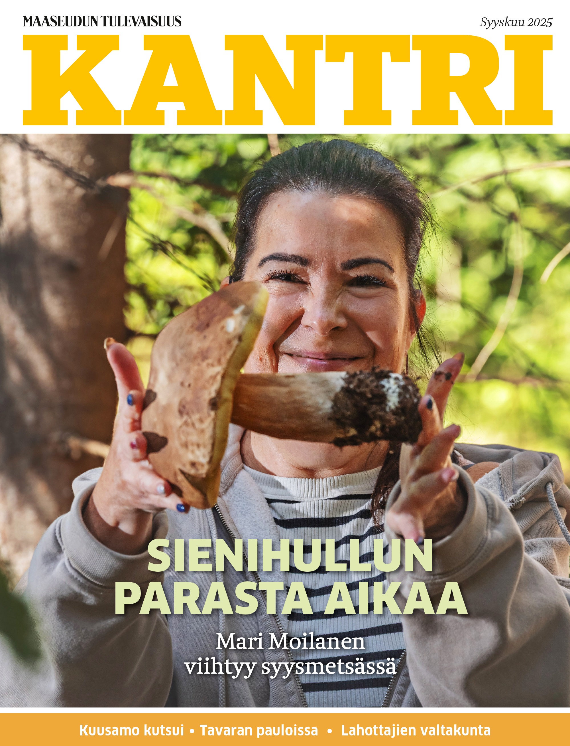 Kantri kansi