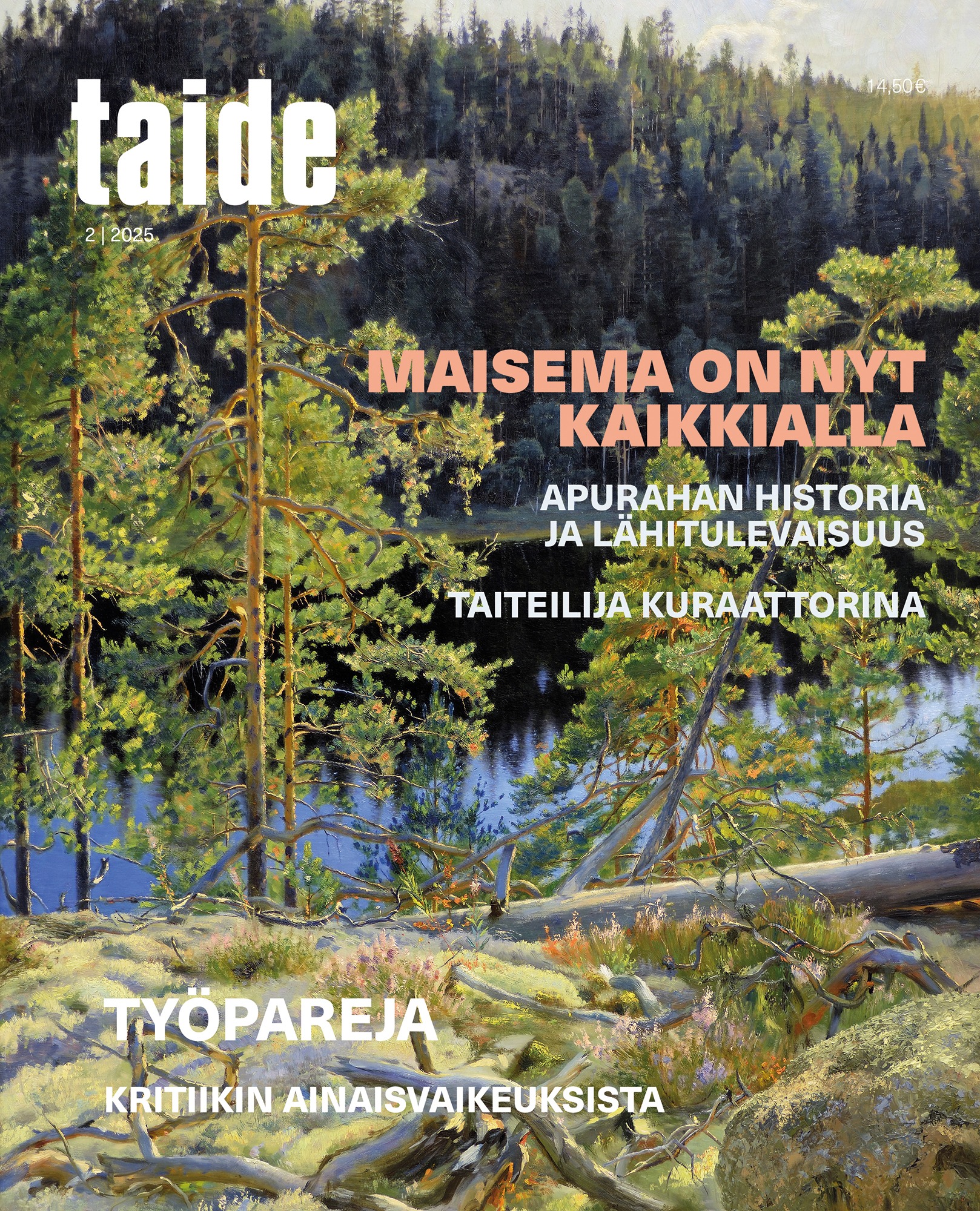 Taide kansi