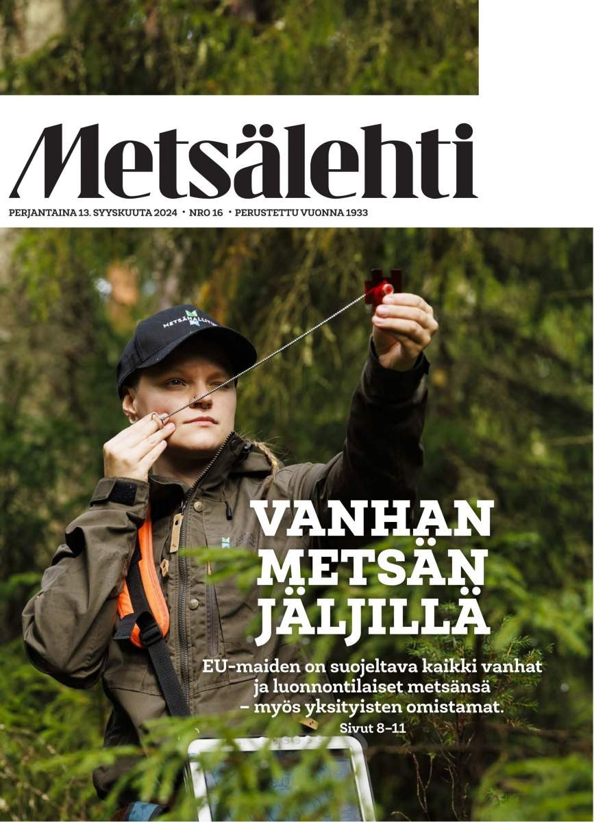 Metsälehti kansi