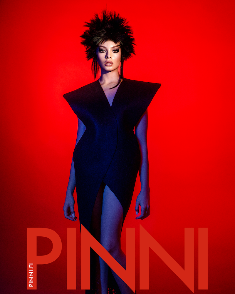 Pinni kansi
