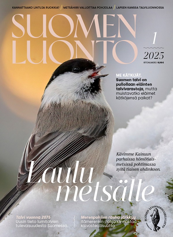 Suomen Luonto kansi